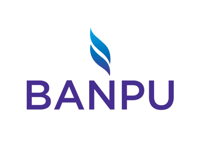 Banpu Public Company Limited